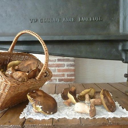براديس Domaine De La Tannerie Chambres D'Hotes Et Appartements المظهر الخارجي الصورة